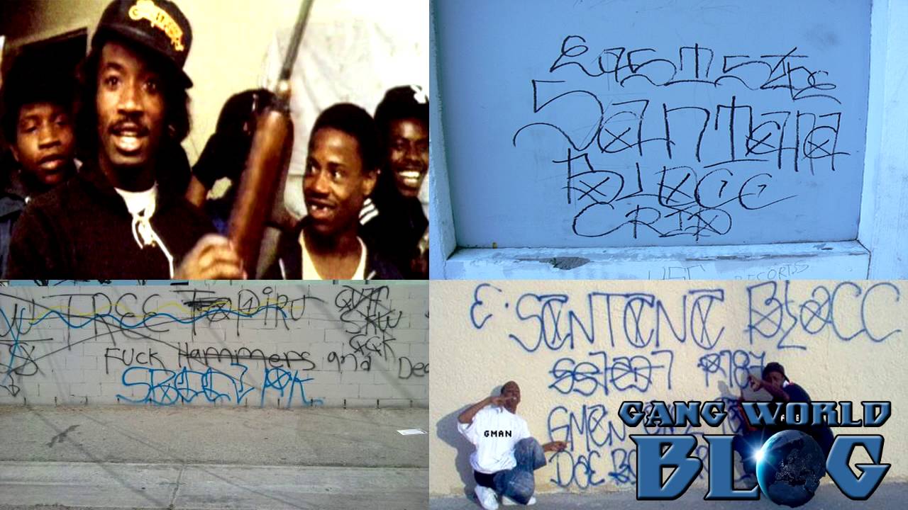 SBC.jpg